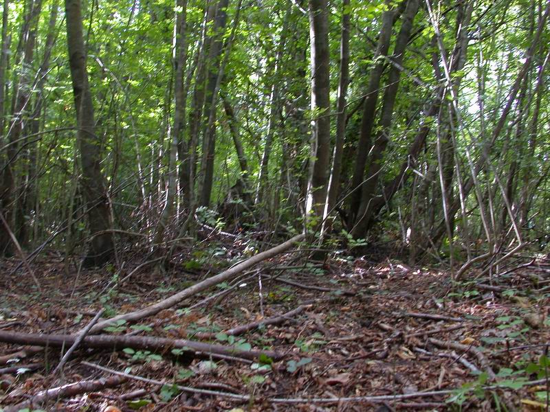 Escursione autunnale in Corsica - 3